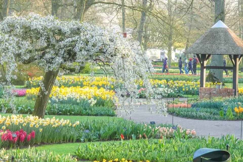 Tour to Keukenhof with Entrance and Transfers by Coach