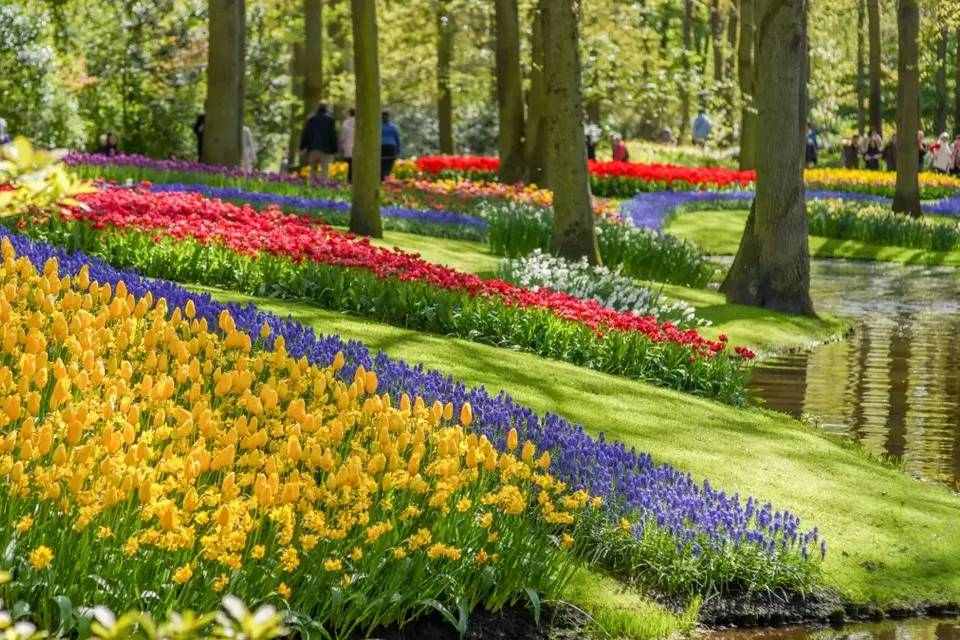 Tour to Keukenhof with Entrance and Transfers by Coach