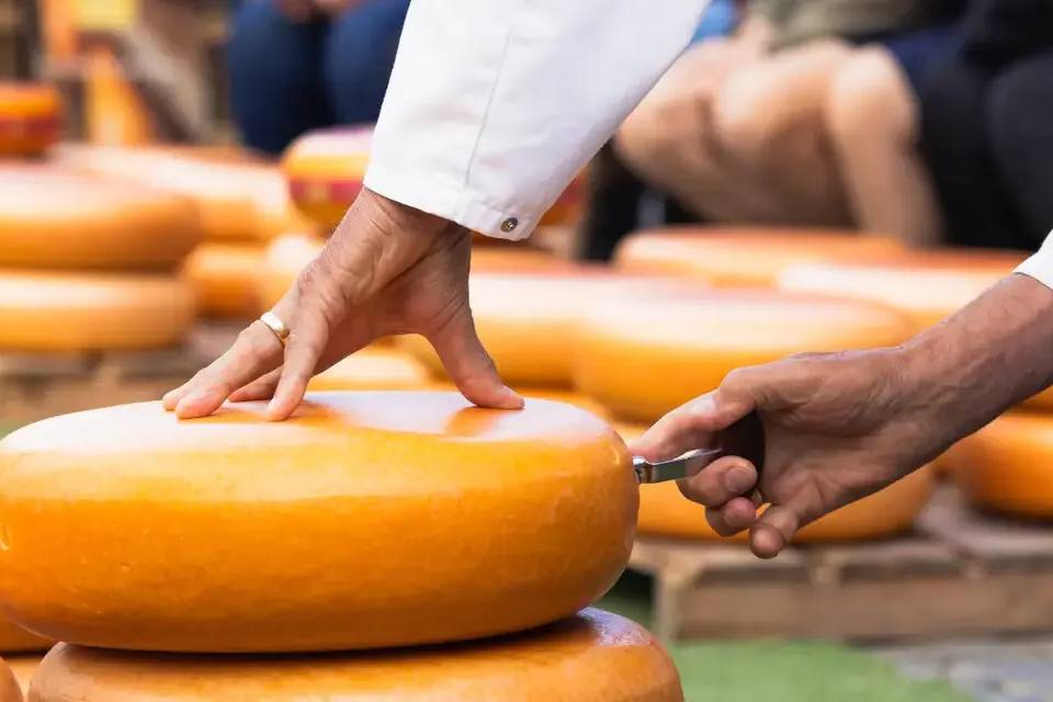 Day Trip to the World-Famous Cheese Markets in Edam, Gouda or Alkmaar