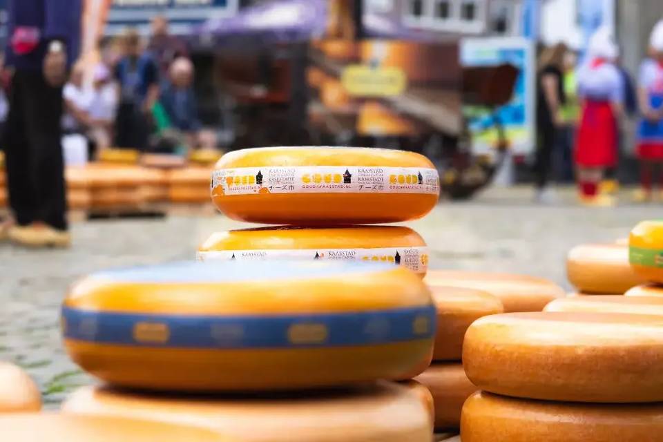 World-Famous Cheese Markets in Edam, Gouda or Alkmaar