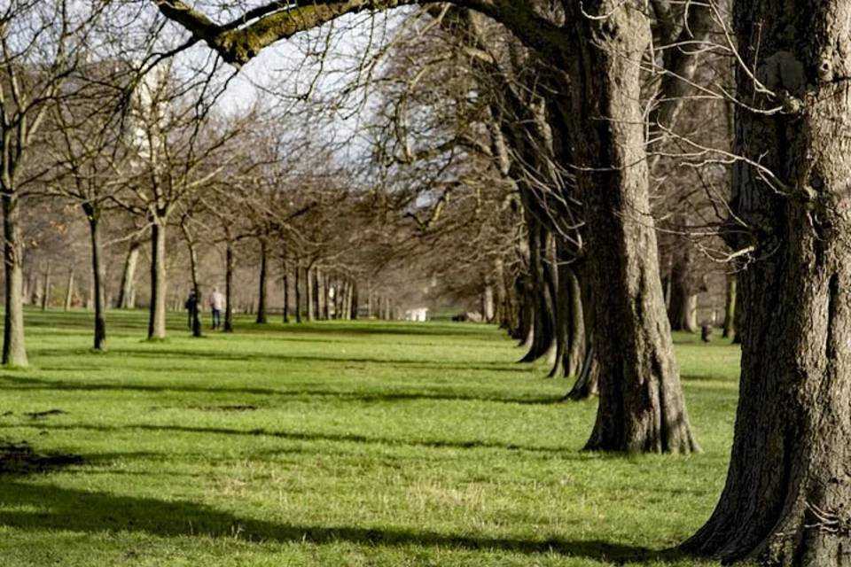 Hyde Park and Kensington Gardens Tour: Royalty, Relaxation and Rebellion