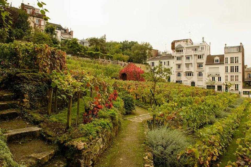 Montmartre : More than Meets the Eye Tour