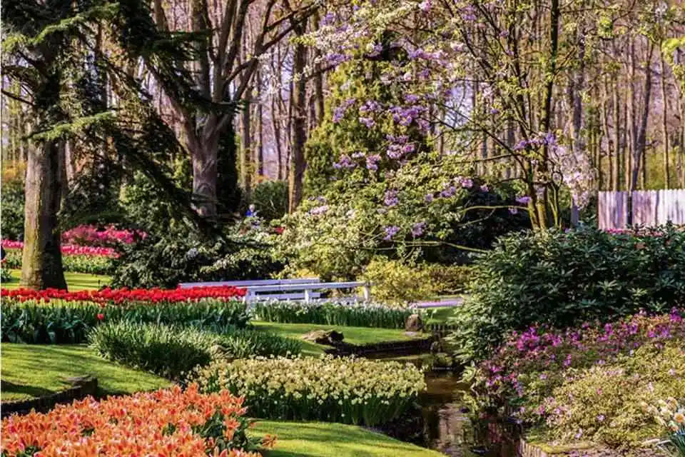 Full Day Tour to Keukenhof with Countryside and Windmills