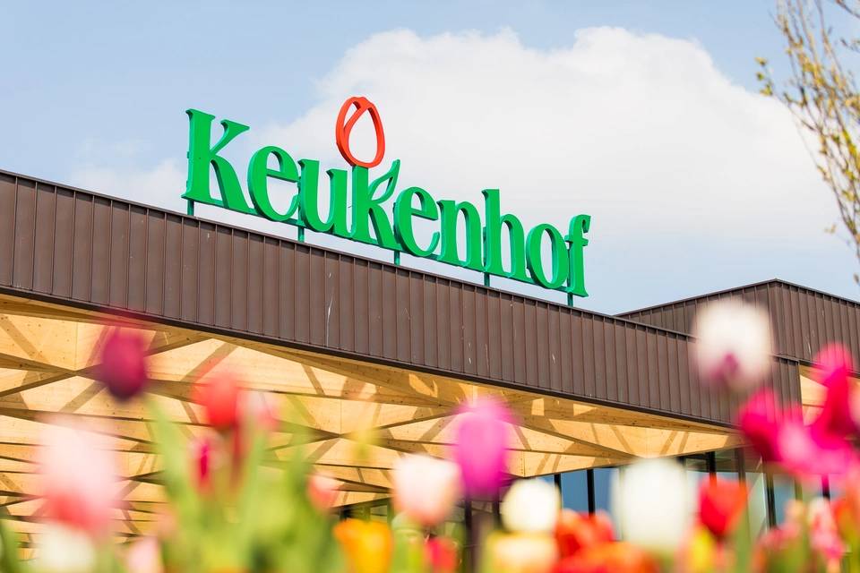 Full Day Tour to Keukenhof with Countryside and Windmills