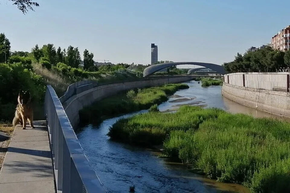 Madrid Walking Tour: Manzanares River’s Story from Prehistory to Popular Park