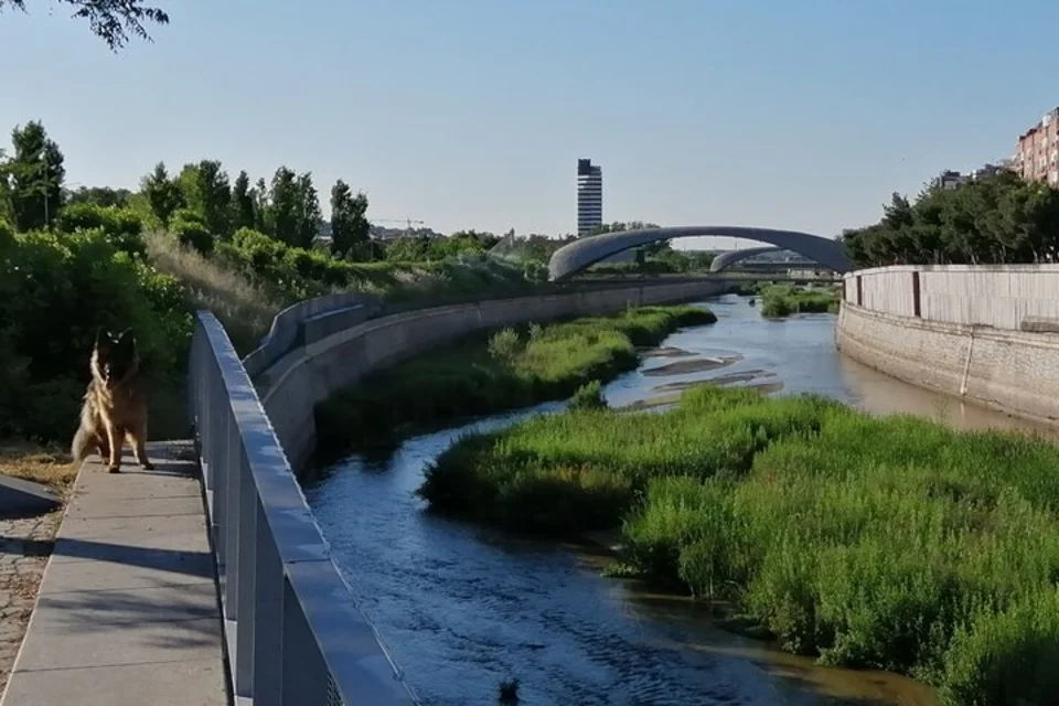 Madrid’s Golden Age: 500 Years of History along the Manzanares River