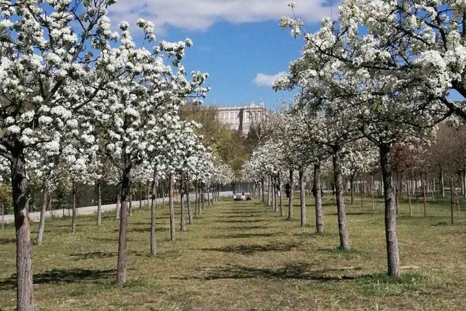 Madrid’s Golden Age: 500 Years of History along the Manzanares River