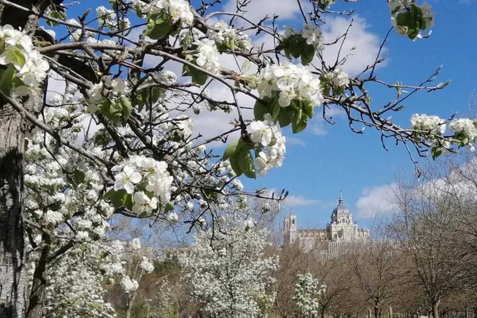 Madrid’s Golden Age: 500 Years of History along the Manzanares River