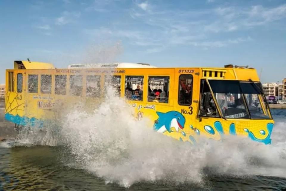 Wonder Bus Ticket