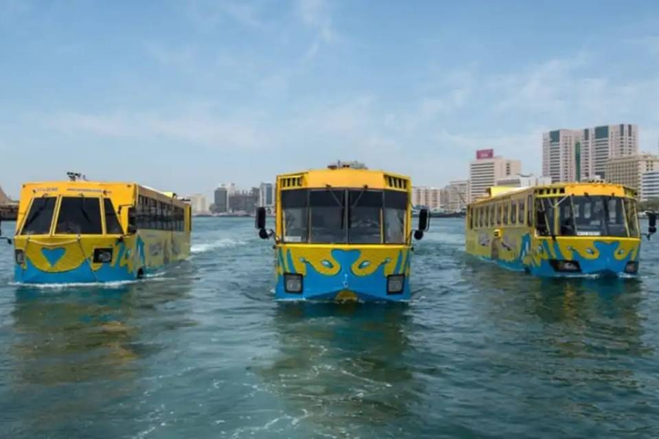 Wonder Bus Ticket