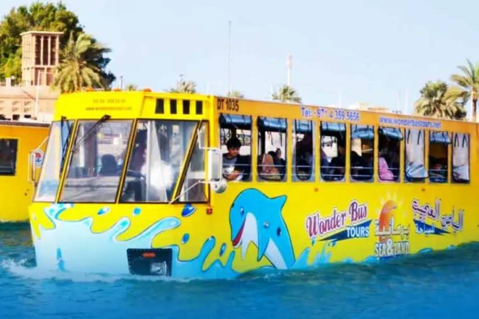 Wonder Bus Ticket