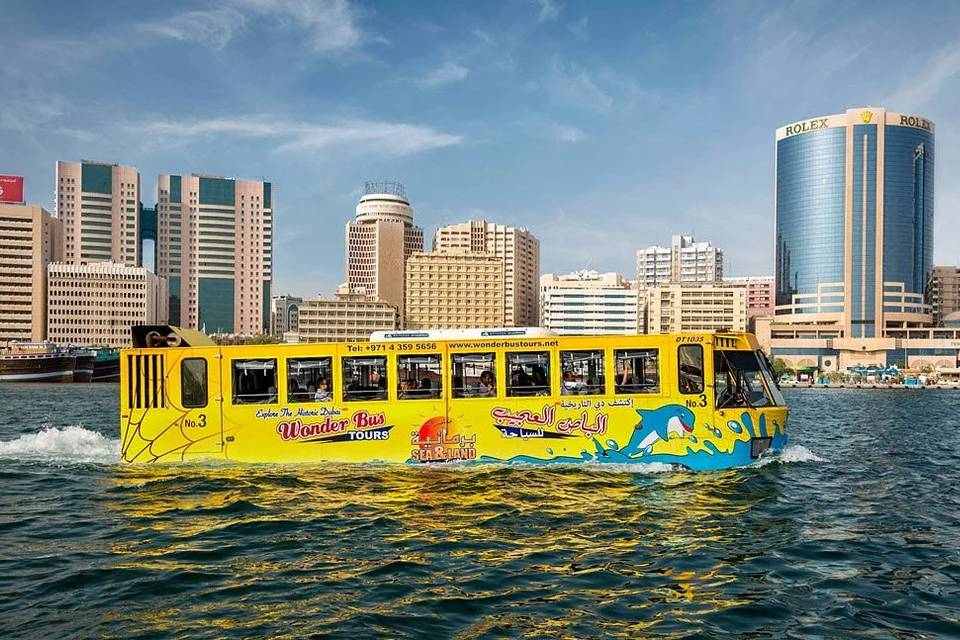 Wonder Bus Ticket