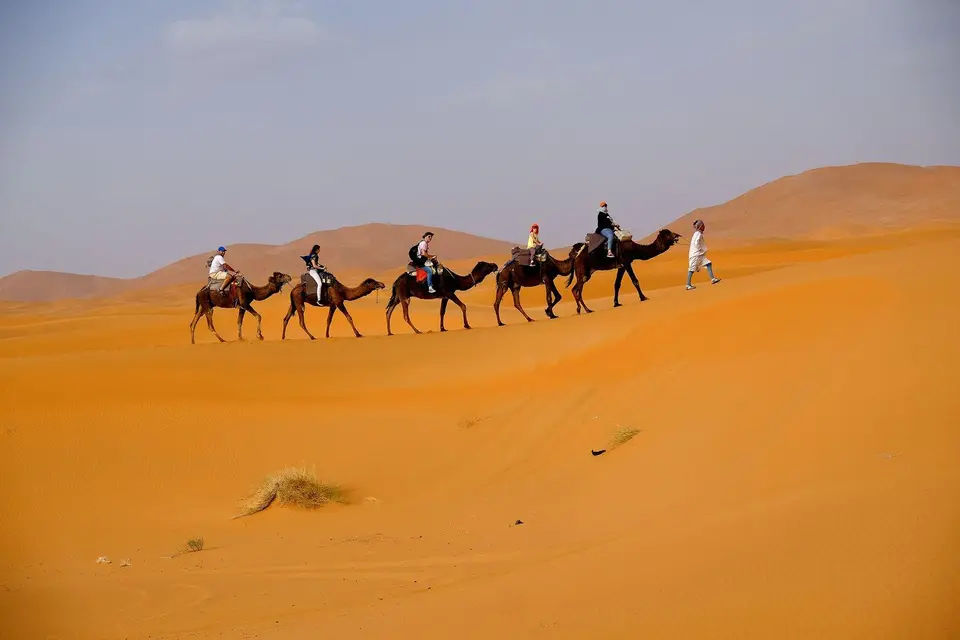 Desert Safari with BBQ Dinner and Free Sharjah City Tour