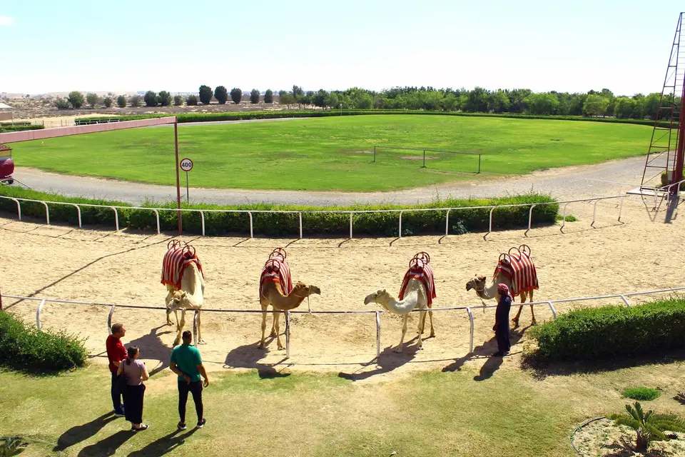 Camel Village Dubai and Free Half Dubai City Tour from Dubai