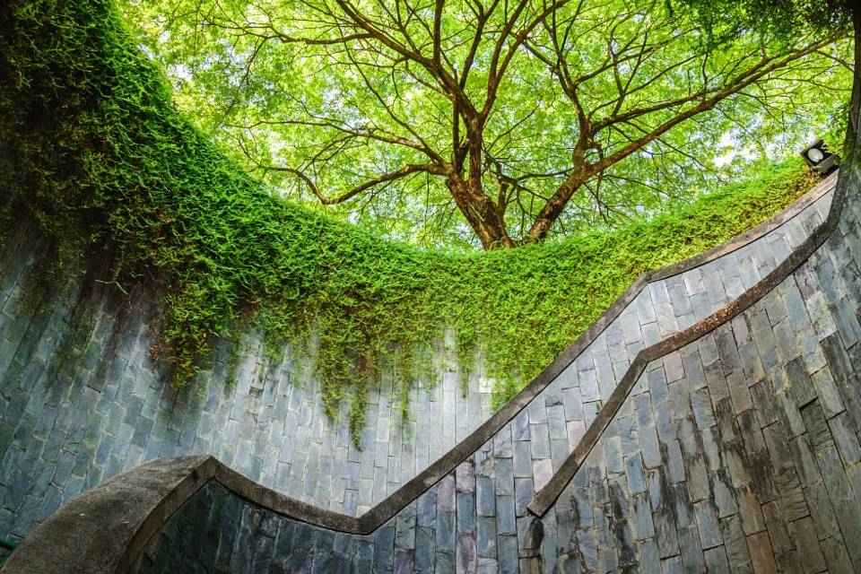 Fort Canning and Civic District Heritage Walk