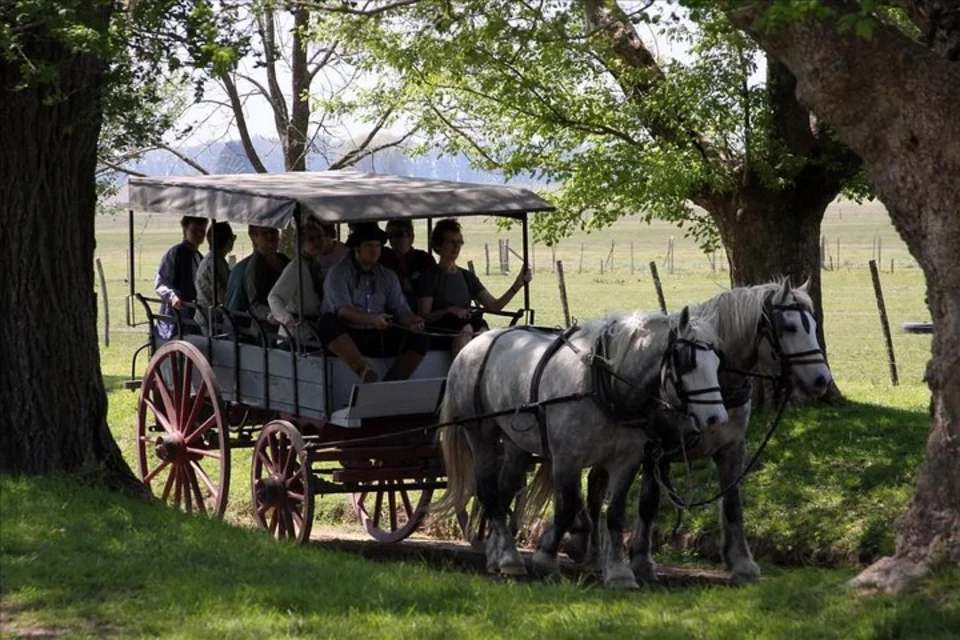 Buenos Aires Super Saver: City Tour, Gaucho Day at a Farm and Tango Dinner-Show