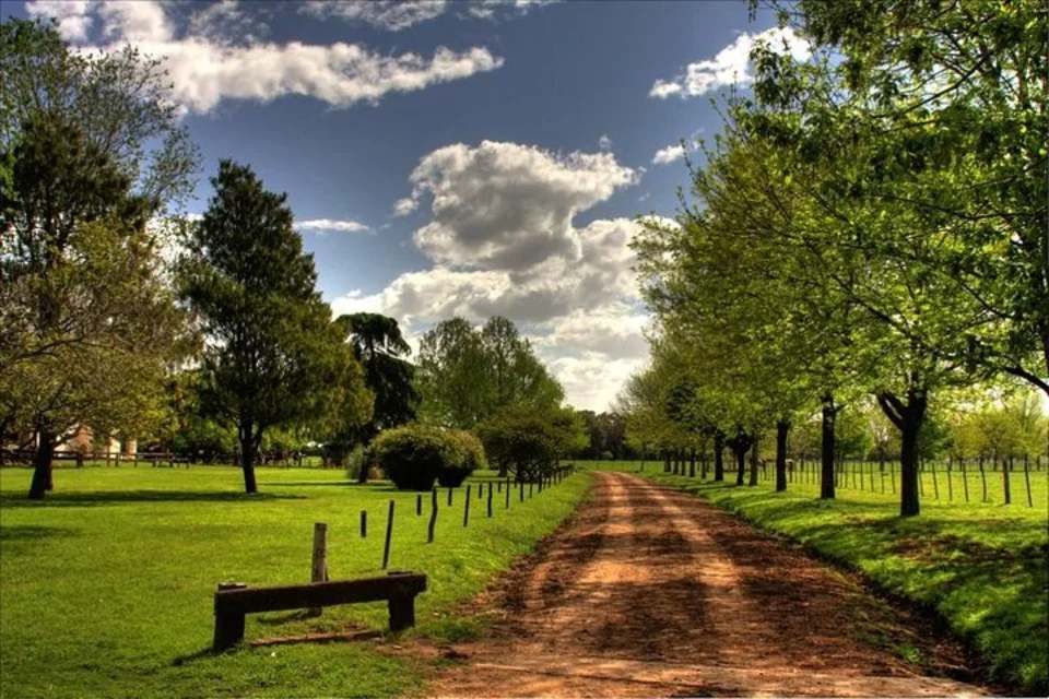 Buenos Aires Super Saver: City Tour, Gaucho Day at a Farm and Tango Dinner-Show