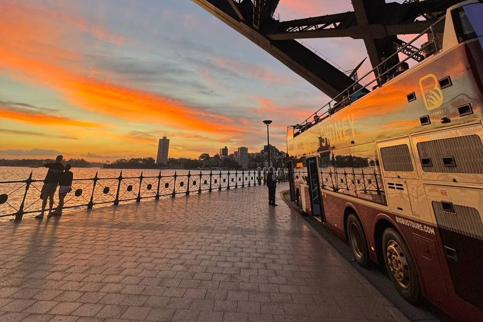 sydney night bus tour