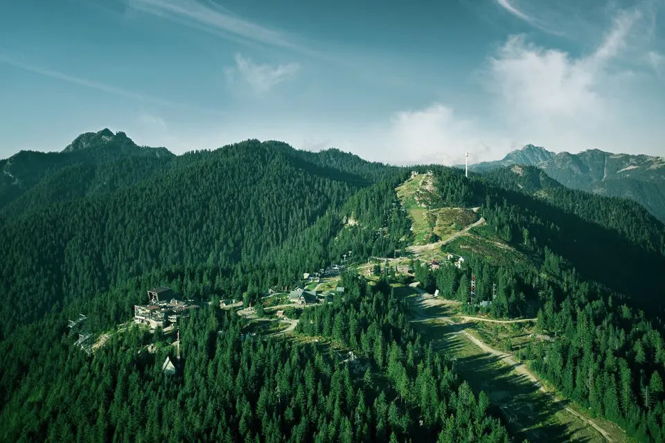 Grouse Mountain & Capilano Suspension Bridge Tour