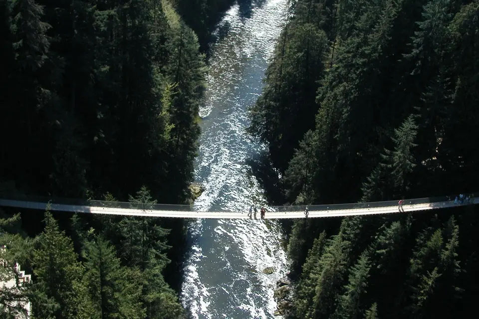 Grouse Mountain & Capilano Suspension Bridge Tour