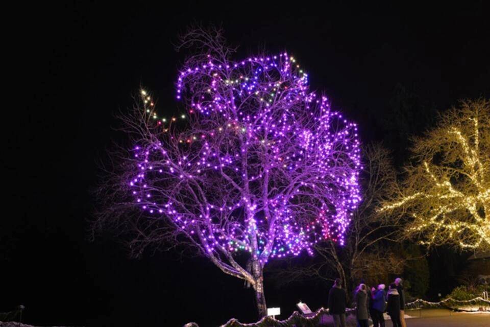 Victoria Village with Butchart Gardens Christmas Tour
