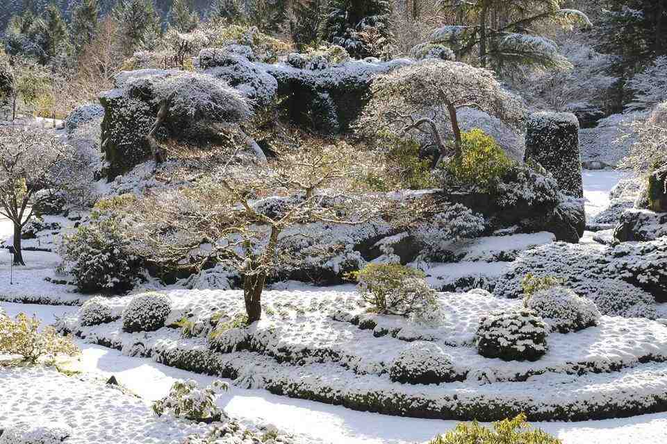 Victoria Village with Butchart Gardens Christmas Tour