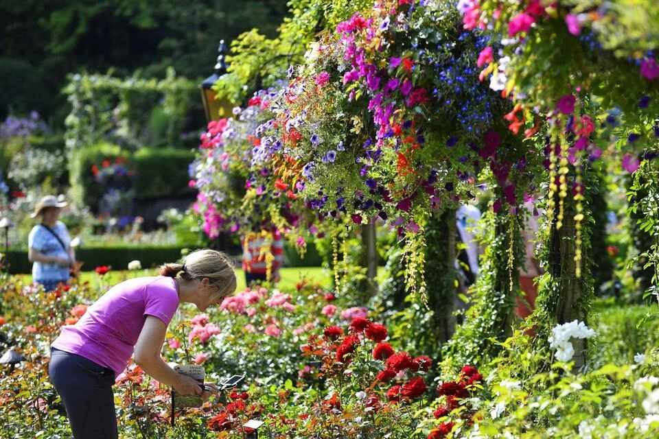 Victoria Village & Butchart Gardens Tour