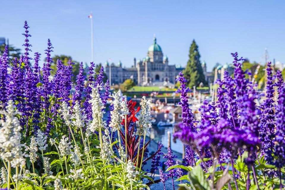 Victoria Village & Butchart Gardens Tour