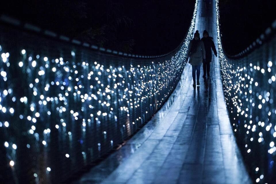 Vancouver City Tour with Capilano Canyon Lights 