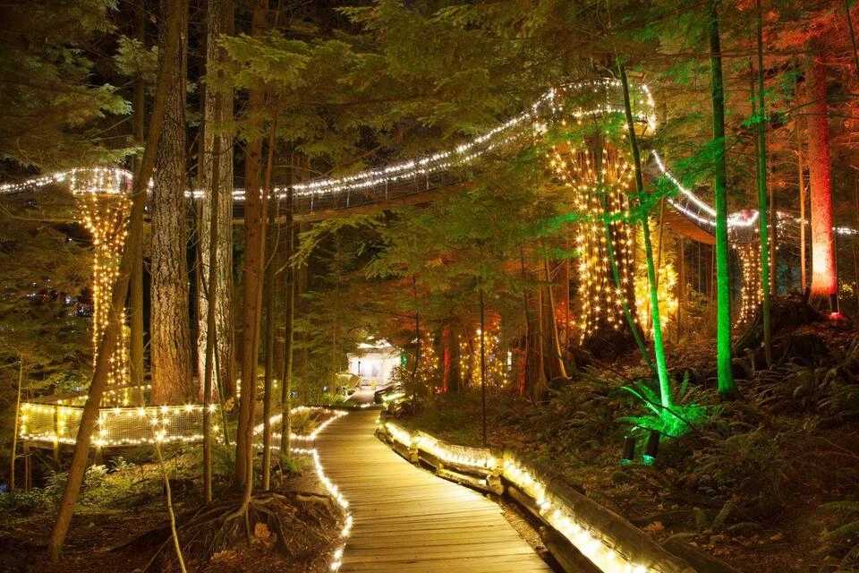 Vancouver City Tour with Capilano Canyon Lights 