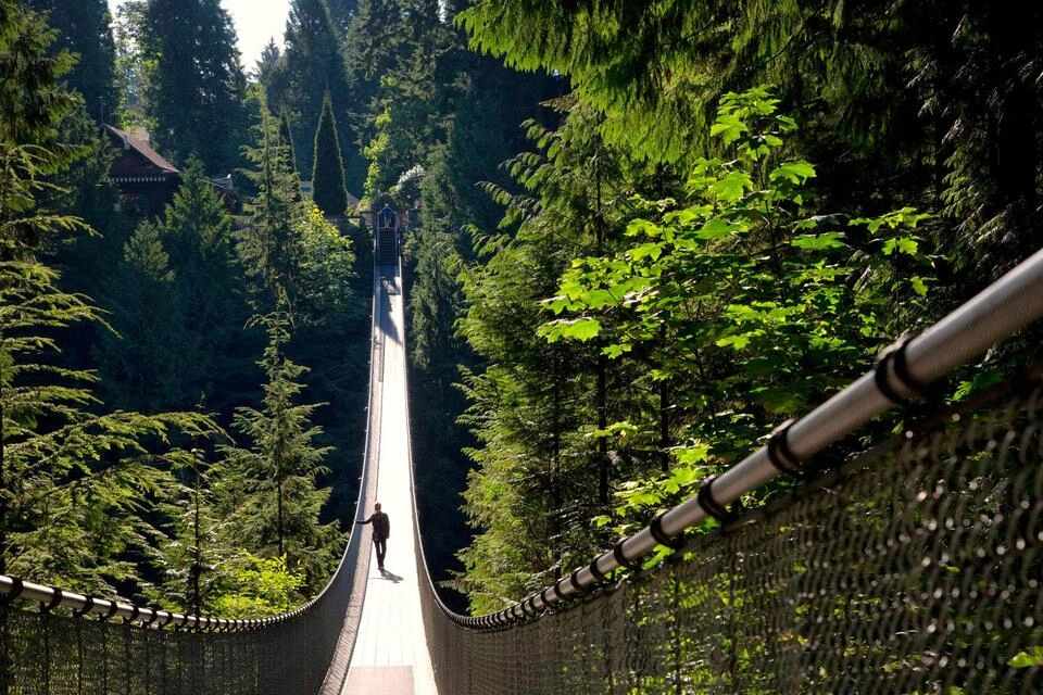Vancouver City Tour with Capilano Canyon Lights 