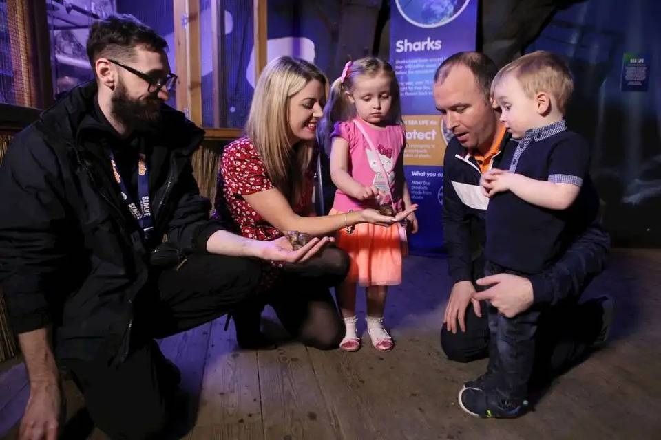 SEA LIFE Blackpool Entrance Ticket