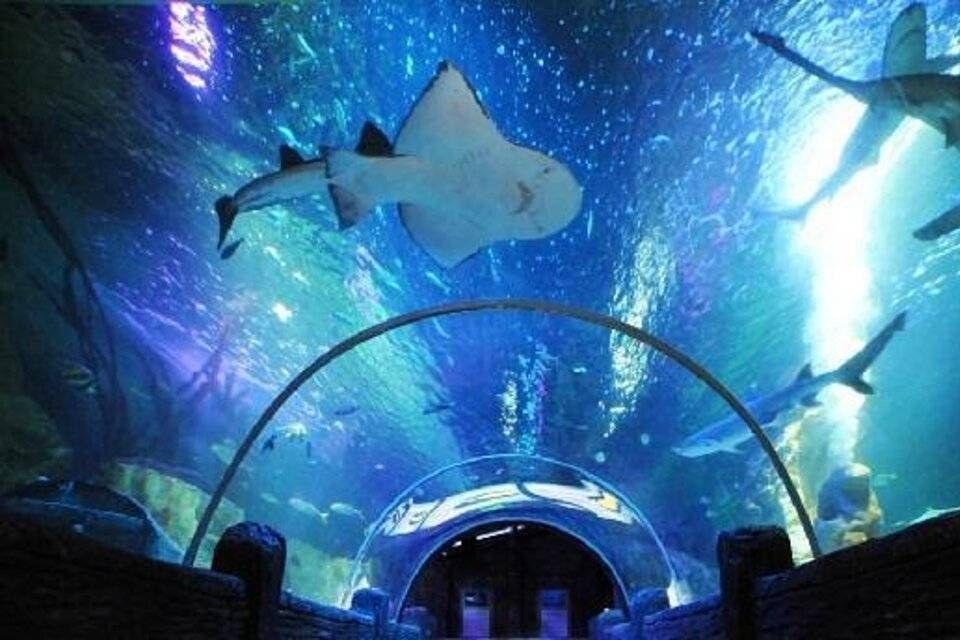 Places of Blackpool Tours Places of Blackpool Tours