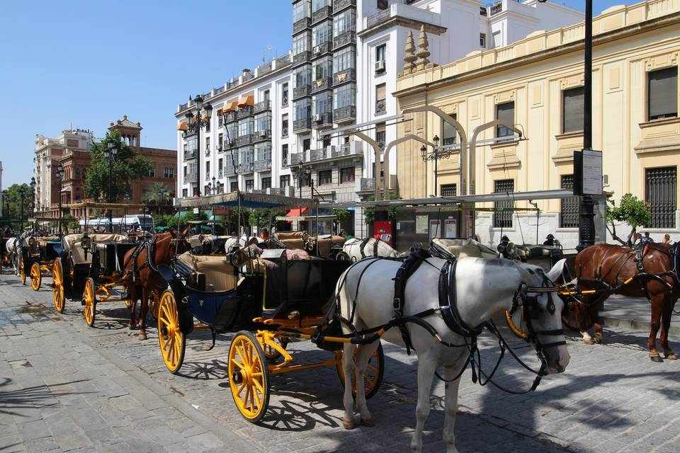 Horse-Drawn Carriage Ride in Seville