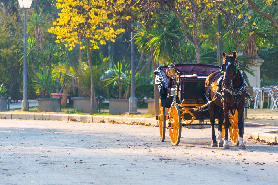 Horse-Drawn Carriage Ride in Seville