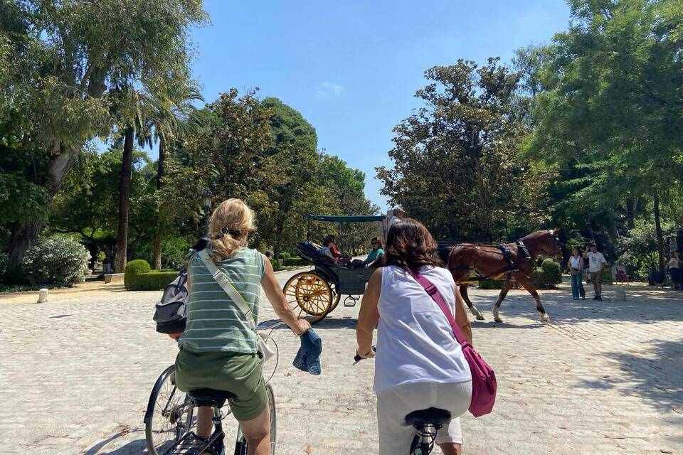 Bike Tour in Seville