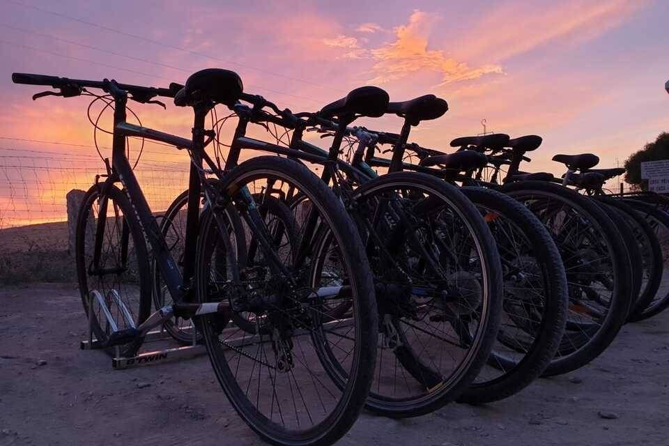 Bike Tour in Seville