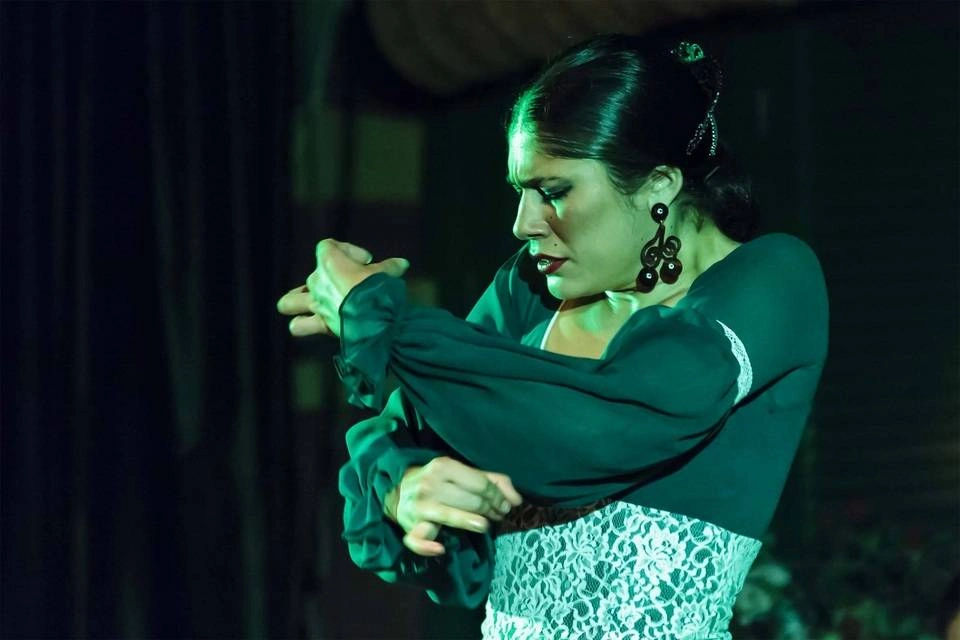 Flamenco Show in Granada
