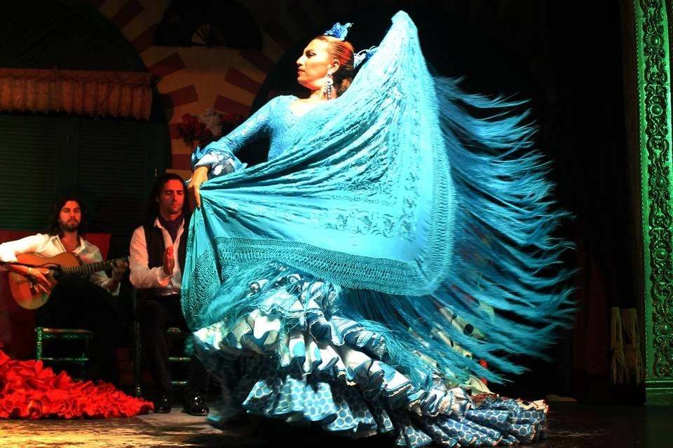 Flamenco Show in Granada