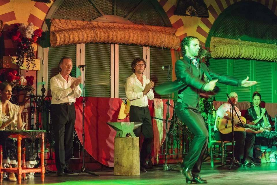 Flamenco Show in Granada