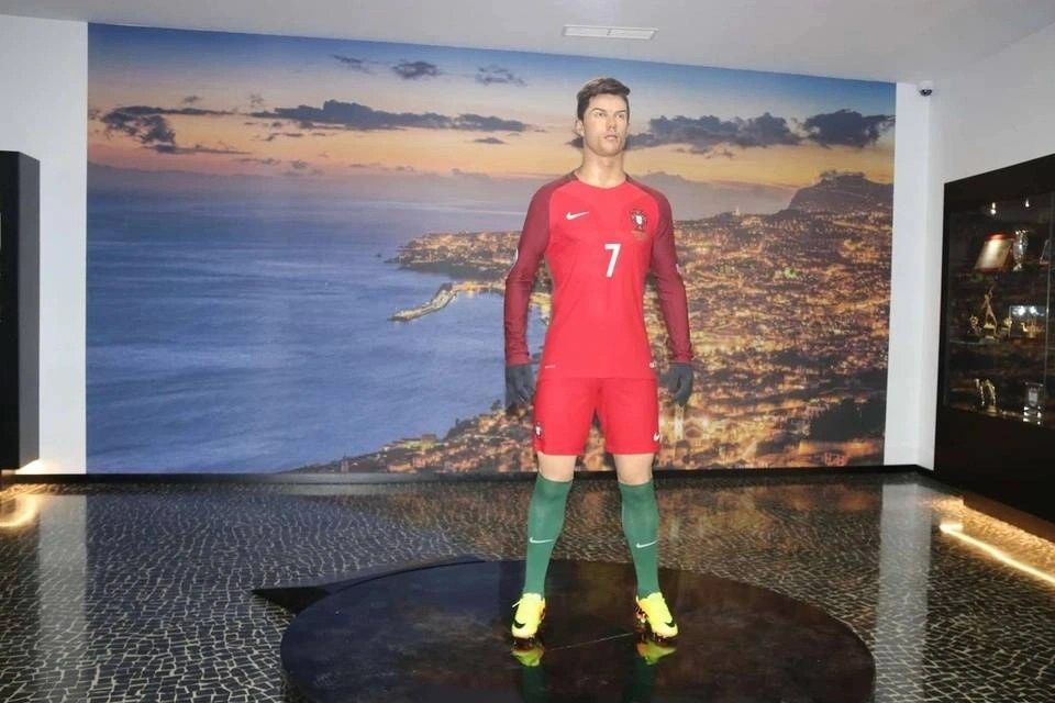City Sightseeing: Funchal Hop-On, Hop-Off  with CR7 Museum Entry Ticket