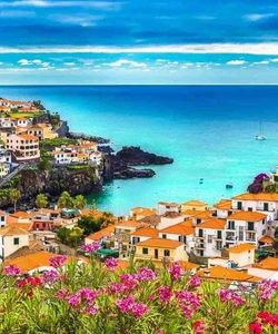 City Sightseeing: Funchal Hop-On, Hop-Off with CR7 Museum Entry Ticket