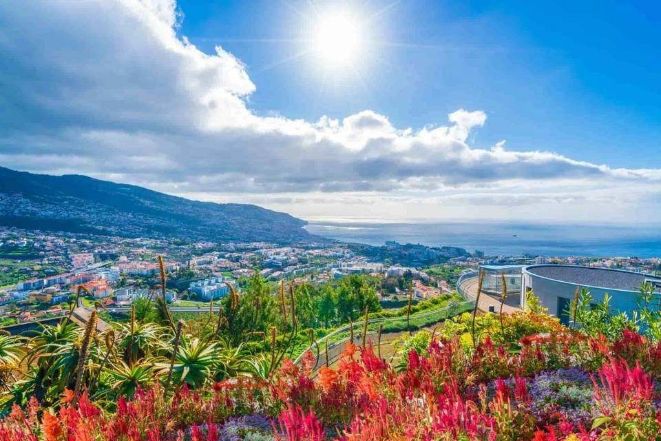 City Sightseeing: Funchal Hop-On, Hop-Off  with CR7 Museum Entry Ticket