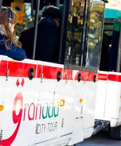 Granada Hop On Hop Off Train Ticket