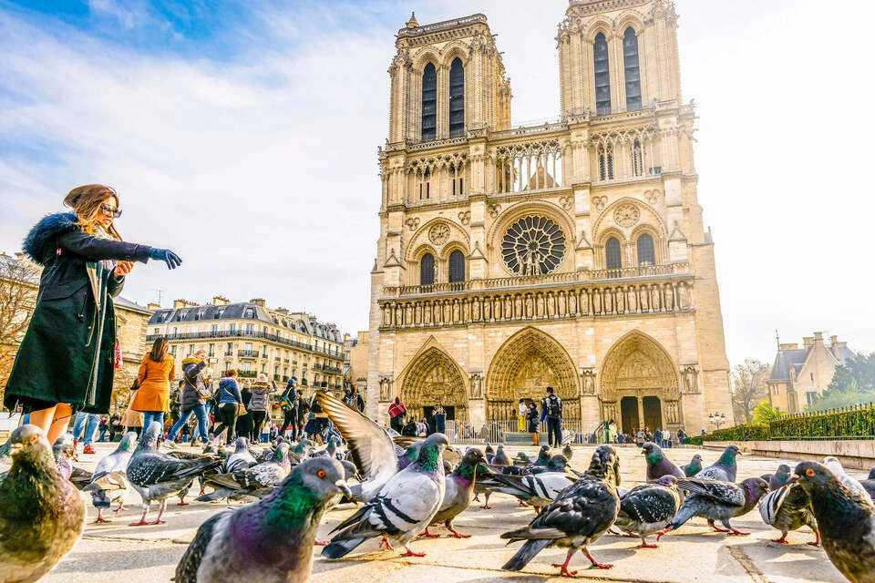 Paris Notre-Dame Cathedral Tour with Audio Guide App
