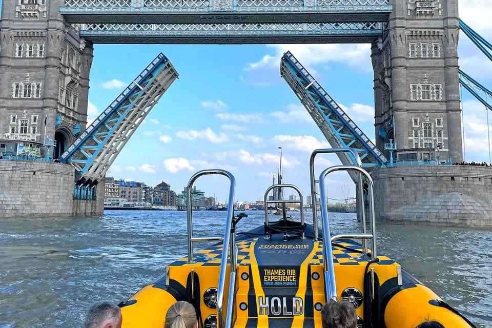 Thames Rib Experience Ultimate Tower RIB Blast