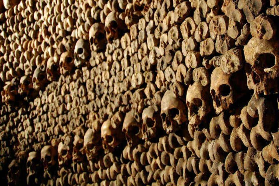 Paris Catacombs Skip-the-Line Access with Audio-Guided Tour and Cruise Ticket