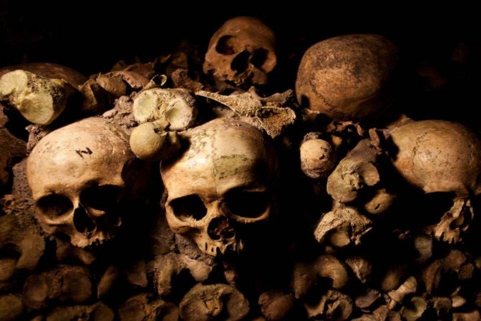 Paris Catacombs Skip-the-Line Access with Audio-Guided Tour and Cruise Ticket