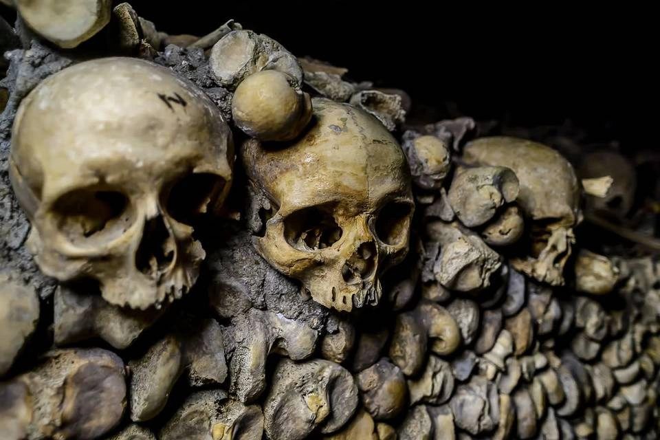 Paris Catacombs Skip-the-Line Access with Audio-Guided Tour and Cruise Ticket