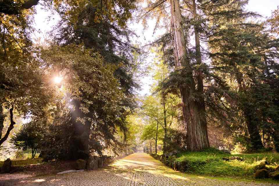 Quinta da Aveleda Enchanted Gardens and Green Wine Experience